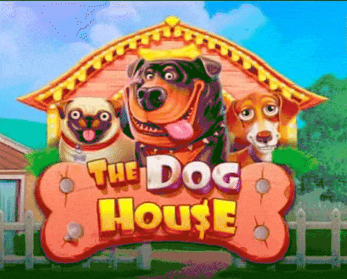 play the dog house in coolzino casino